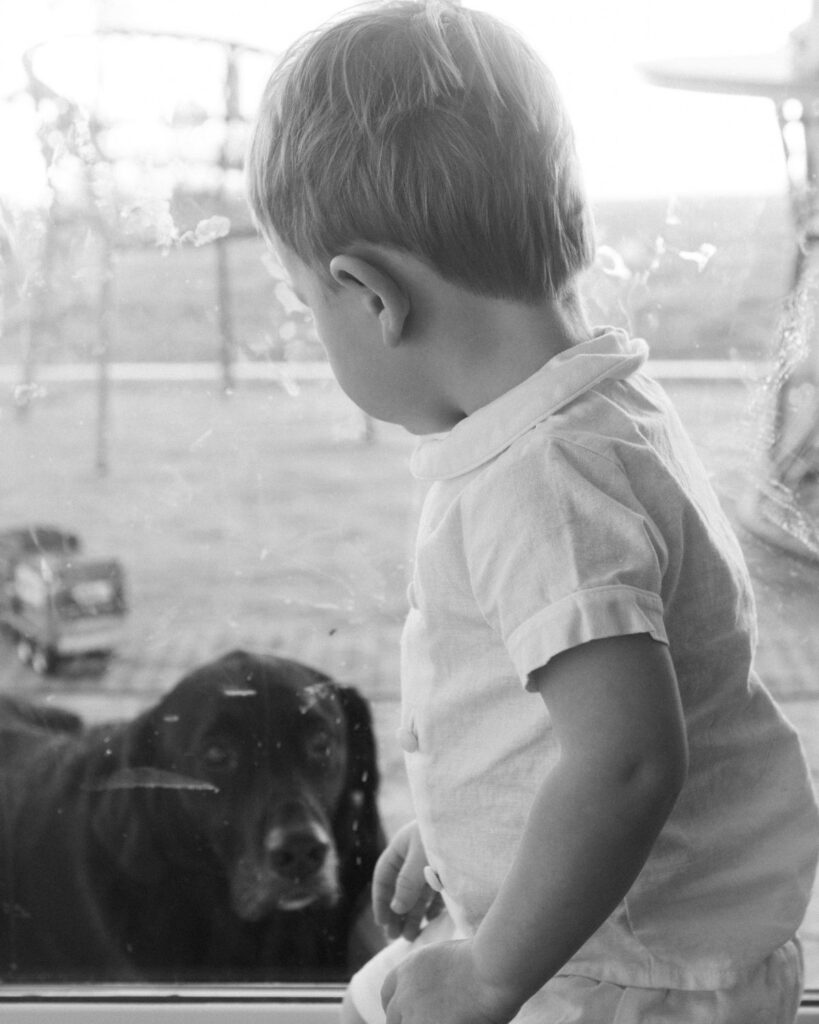 Toddler sibling standing near the window with family dog during an in-home lifestyle newborn session in Santa Rosa Beach Florida
